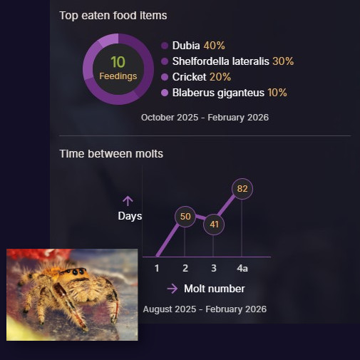 AlienKeeper animal analytics visual
