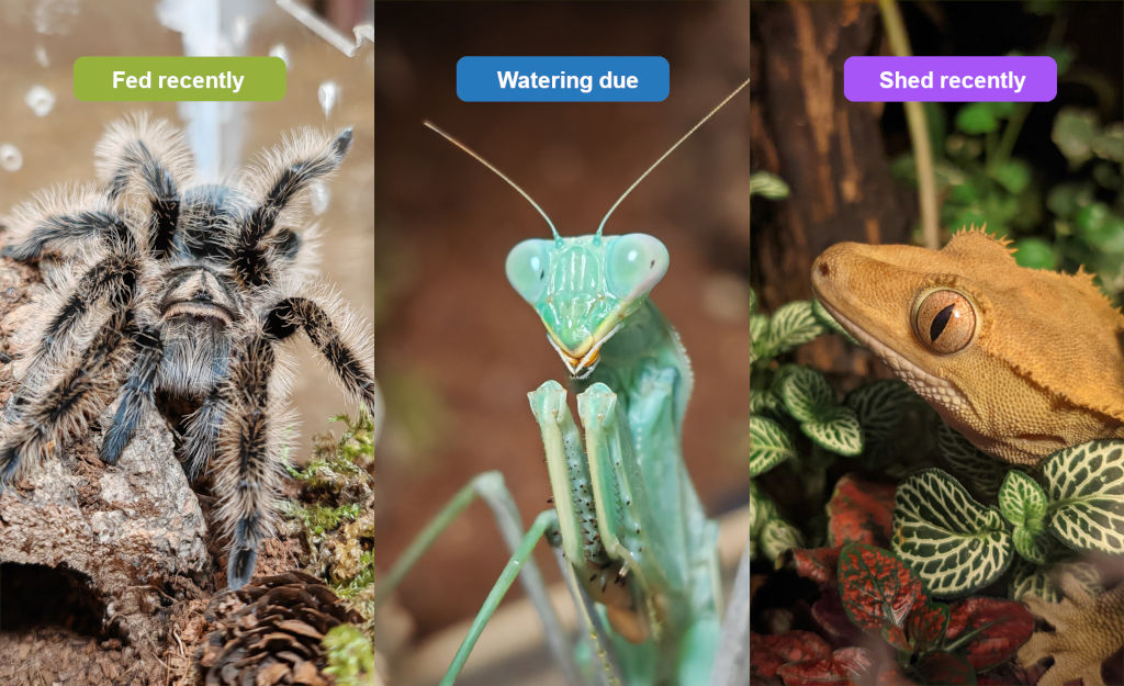 AlienKeeper exotic pet care app