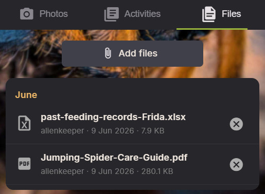 AlienKeeper file uploads for jumping spider care guides