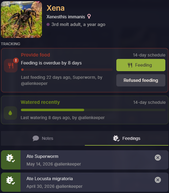 AlienKeeper feeding modal showing what tarantula ate and if its hungry